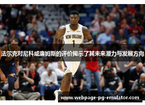 法尔克对尼科威廉姆斯的评价揭示了其未来潜力与发展方向