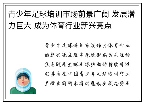 青少年足球培训市场前景广阔 发展潜力巨大 成为体育行业新兴亮点