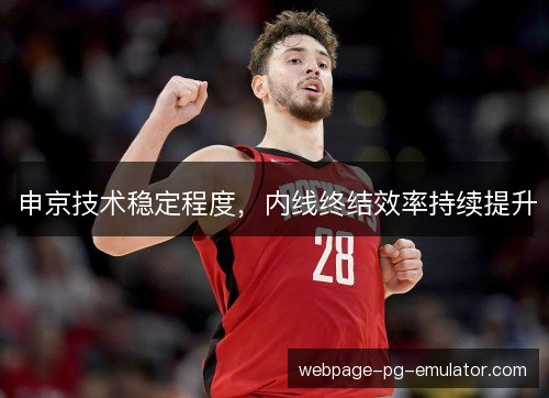 申京技术稳定程度,内线终结效率持续提升 申京技术稳定程度,内线终结效率持续提升
